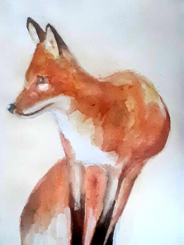 Fiery fox - watercolour on ppaper Fiery fox - watercolour on ppaper
