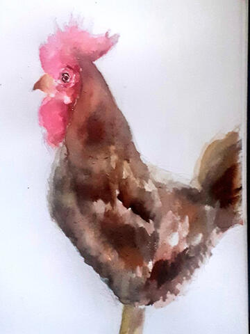 Cockerel - watercolour
