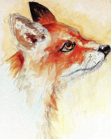 Portrait of a red fox in watercolour