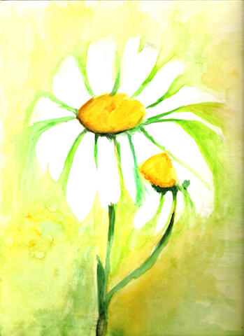 Lilies - watercolour